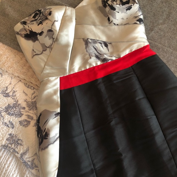 Sachin + Babi Gown, Size 4 - Picture 4 of 8